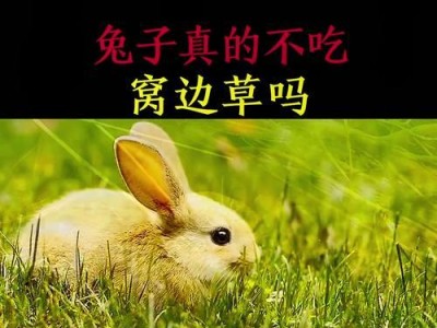 兔子能吃红薯叶吗？（了解兔子对红薯叶的食用情况及注意事项）