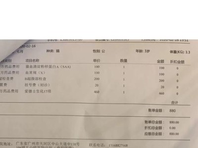 养一只猫的费用估算（猫咪看病住院和饲养费用的详细分析）