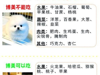 博美生产全过程解析（博美狗繁殖周期及关键环节分析）