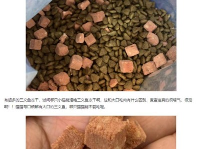 喜悦猫粮的优点（为什么喜悦猫粮是你的宠物最佳选择？）