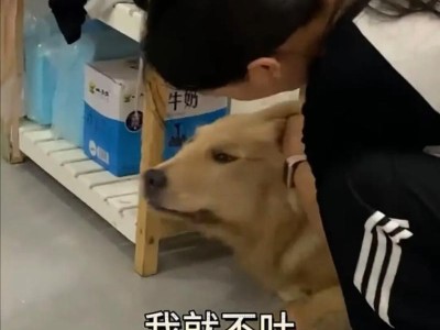 小狗为什么会乱吃东西？（探究小狗乱吃东西的原因及应对方法）