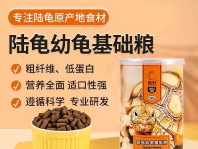 陆龟结石（了解陆龟结石形成的周期以及如何预防和治疗）
