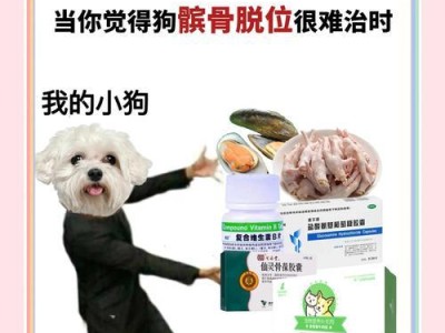 养护6个月大的狗宝宝，（为你的狗宝宝提供全面的健康护理，让它茁壮成长）