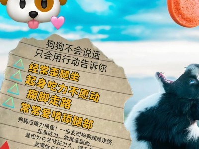 狗狗不吃东西没精神可能的原因及应对方法（铲屎官必读！保证狗狗健康的重要事项）