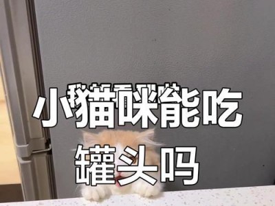奶猫能够多久不吃东西？（探究奶猫的饮食习惯和需求）