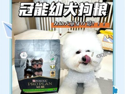 了解比熊耳螨的治疗时间及方法（掌握比熊耳螨的治疗周期和关键提示）