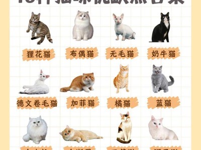 母猫的六大缺点，你还想养吗？（了解母猫的缺点，理性选择宠物伴侣）