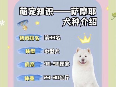 萨摩耶犬排便频率及注意事项（了解萨摩耶犬的排便习惯，做好日常护理）