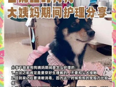 狗狗第一次大姨妈是多久？（了解狗狗生理周期和健康护理）