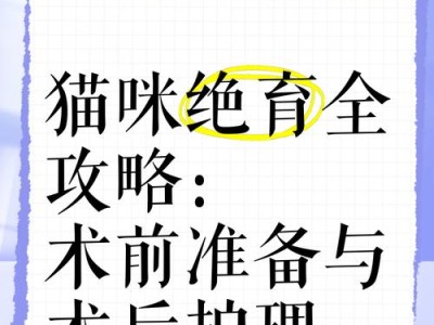 猫咪绝育手术需要多长时间？（了解猫咪绝育手术所需的时间和步骤）