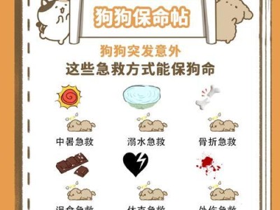 狗狗便血（宠物爱犬便血的常见原因及应对措施）