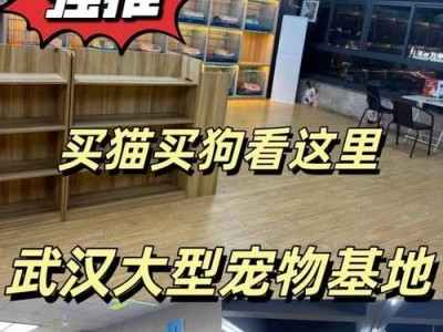 博美犬价格揭秘（了解博美犬的价格背后的影响因素以及如何进行正确的选购）