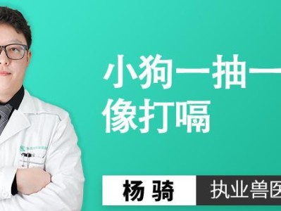 狗狗睡觉打嗝怎么办（专业指导，让宠物健康无忧）