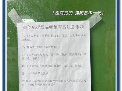 公狗绝育手术后多久可以取圈（宠物绝育手术的恢复期及相关注意事项）
