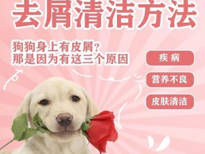狗狗清洁指南（为您的爱犬提供最佳清洁护理）