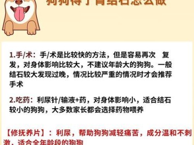 狗狗小便少的原因及解决方法（探究狗狗小便少的因素以及如何解决）