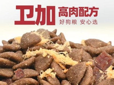 探讨宠物狗粮的种类和选择（狗粮的重要性及如何选择适合的狗粮）