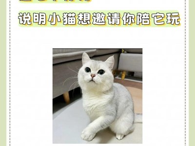 猫咪的生病表现——如何判断猫咪是否生病？（猫咪生病的常见表现及健康问题，提前发现疾病关键。）