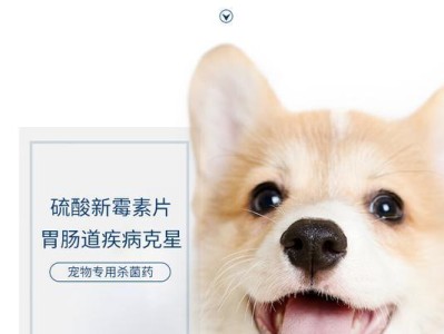 狗吃抗生素药的注意事项（了解狗吃抗生素药的常见问题及解答）