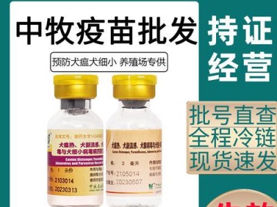 小狗疫苗的重要性与前两针的意义（保护健康成长，预防疾病无忧）