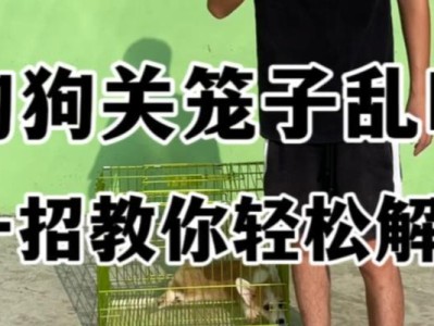 狗狗关笼子多久会知道上厕所？（掌握适当的时间训练狗狗上厕所的技巧）