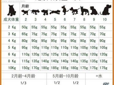 《哈尔滨大白兔的饲养方法》（从宠物角度出发，让您的大白兔健康成长）