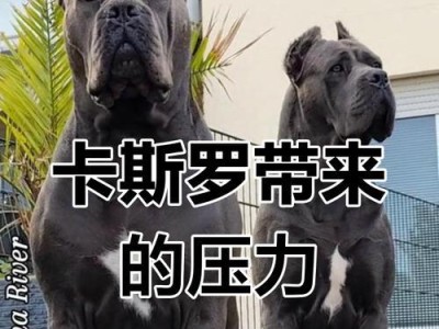 卡斯罗幼犬的育苗时间及注意事项（宠物健康保障从打育苗开始）