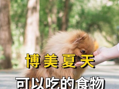 狗狗怀孕期间的饮食指南（了解狗狗怀孕期间应该吃什么，为母狗提供最佳的营养摄取）