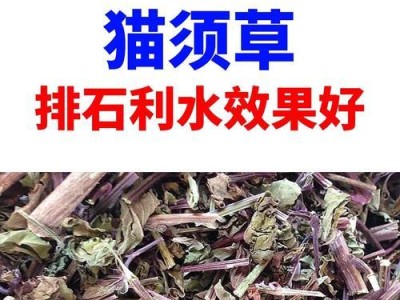 猫肾结石治疗药物的选择与使用（了解猫肾结石治疗中的关键药物及用途）