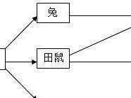 草原田鼠的饲养方法（打造健康宠物生活，全方位宠物养殖知识）