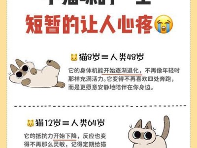 与流浪猫亲近需谨慎（了解猫病毒传播的风险及预防措施）