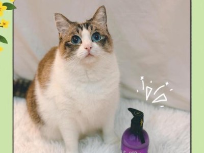 猫咪洗澡频率的最佳选择（科学护理下的猫咪卫生与健康）