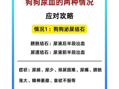 狗狗尿中有血的原因及治疗方法（了解狗狗尿中血迹的重要性，预防及及时治疗）