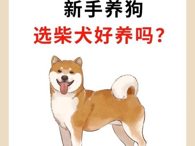 如何驯服倔强的柴犬（解密柴犬训练秘籍，让你的柴犬听话如命）