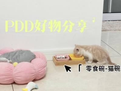 从幼猫买回来到检查养护，一切从这里开始（养猫新手必读！）