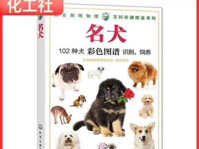新斯科舍猎鸭犬的饲养方法（优雅的猎手，狗主的责任）