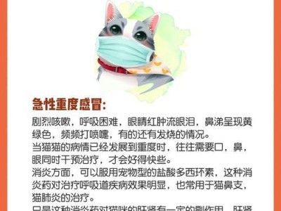 猫宝宝打喷嚏流鼻涕该怎么办？（猫宝宝打喷嚏流鼻涕的原因和治疗方法大揭秘）