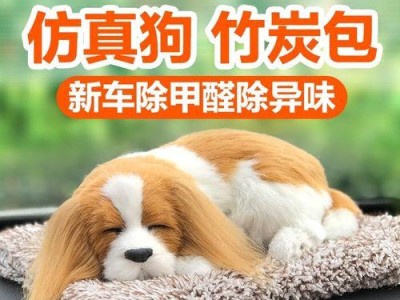 如何养护查理王犬（以宠物为主，爱护无微不至）