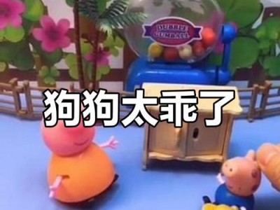 小狗咬人，如何改正问题？（学会这5个办法，让它以后不再犯）