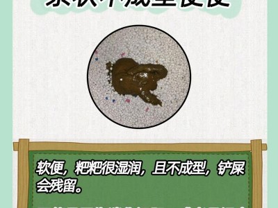 猫拉稀的原因及解决方法（探究猫咪拉稀背后的原因，提供有效的解决方案）