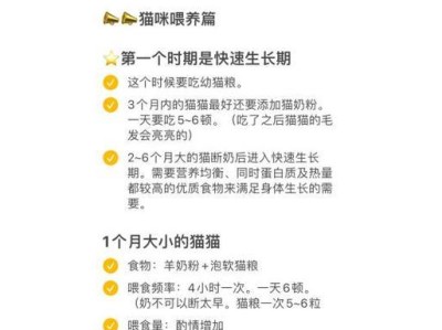 刚断奶的猫的饮食与药物禁忌（为猫咪健康成长提供正确的饮食和药物）