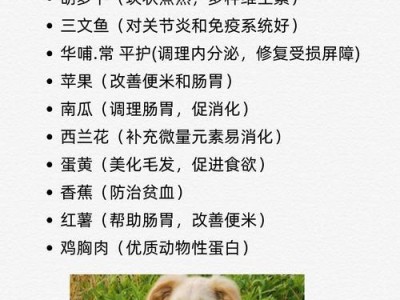 金毛犬养公还是母？选择你的理想宠物伴侣（探讨金毛犬公犬和母犬的优劣势，帮助你做出明智的选择）