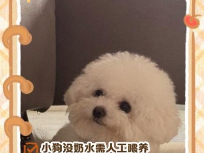 狗下崽后多久有奶水？（探究母犬分娩后产奶时间及其影响因素）