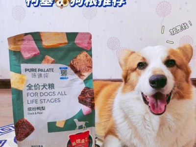 柯基幼崽的饮食指南（营养均衡的关键是多样化）