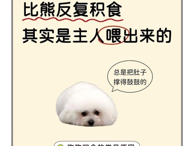 如何科学喂养比熊犬？（根据年龄和需求，合理掌握每顿饭量）