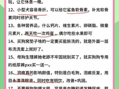 训练博美犬的六大要点（打造优秀的博美犬伴侣家庭生活更美好）