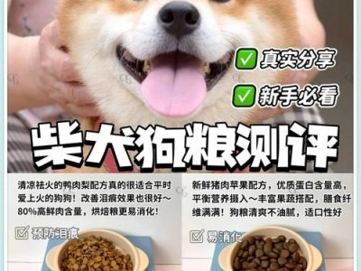 合理喂食幼犬的狗粮（谨慎选择与科学配比，健康成长）