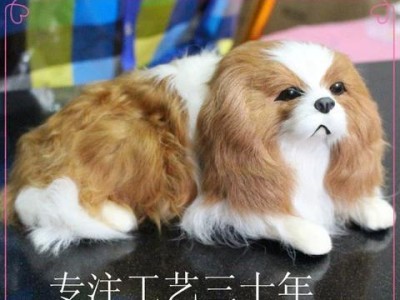 养查理王犬，注意这些事项！（养犬初学者必看，如何照顾查理王犬）