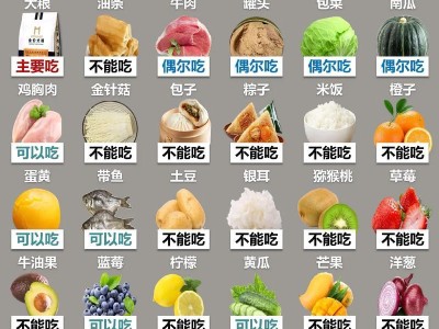 狗狗的合理饮食（一日三餐）