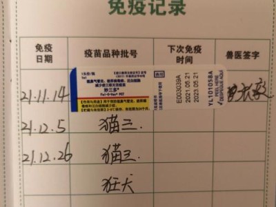 猫咪打完针的注意事项（保护宠物猫咪免受疾病侵袭的重要举措）